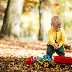 Little boy in autumn park